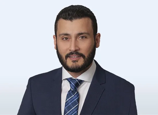 Dr. Ahmed Hamroush